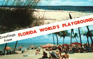 Vintage Postcard Greetings From Florida World's Playground Typical Beach Scenes