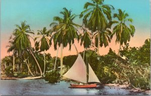 Postcard Haiti Paysages Landscape Port-Au-Prince, palm trees sailboat