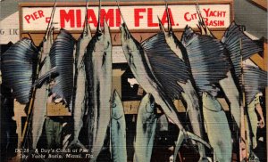 Miami, Florida - Day's catch at Pier 5 Yacht Basin - in 1951