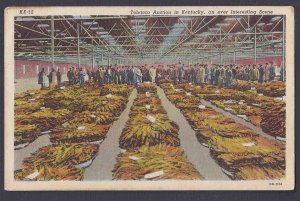 Ca 1935 TOBACCO AUCTION IN KY.  MINT