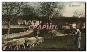 Old Postcard The Peasant Folklore Herd Sheep Shepherd