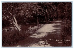 c1910's Bowen's Raceway Scene Auburn New York NY Unposted Postcard