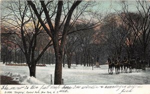 br106187 sleighing central park new york