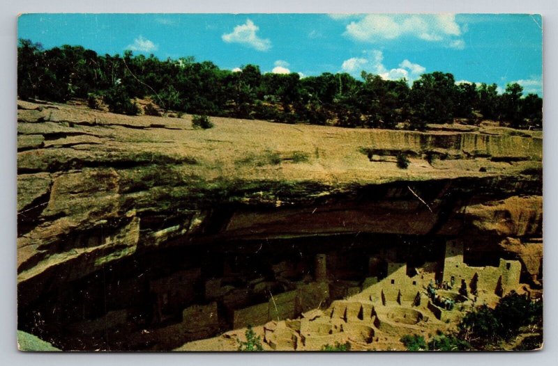 Cliff Palace by Mesa Verde National Park Colorado Dwelling Postcard Posted 1960