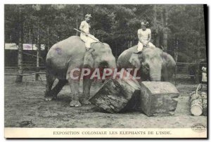 Old Postcard Paris Colonial Exhibition The Elephants From & # 39Inde Elephant