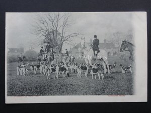 HUNTING & HOUNDS SCENE on Village Green c1903 by Valentine