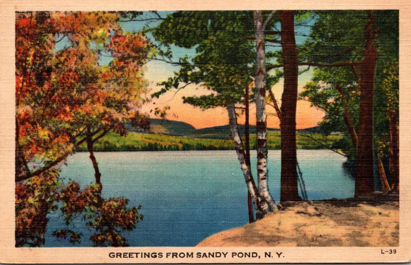 New York Greetings From Sandy Point 1947