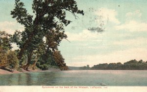 Vintage Postcard 1908 Sycamores on the Bank of Wabash Lafayette Indiana INC Pub.