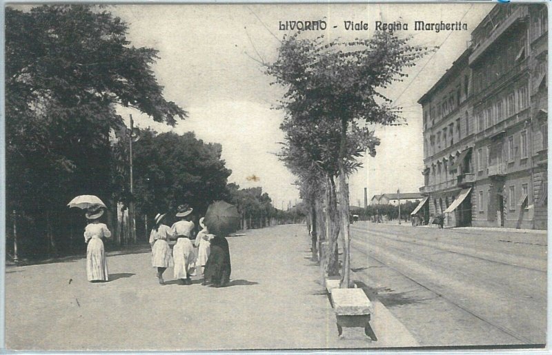 73427 - vintage postcard: LIVORNO City - Avenue REGINA DAISY 1910-