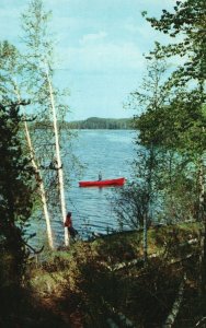 Vintage Postcard A Scarlet Fishing Boat Deep Blue Water Birches Belvidere NJ