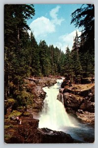 Silver Falls Mt Rainier National Park Washington Vintage Postcard 1642