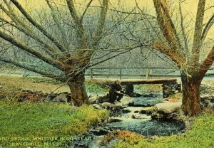 Circa 1910-20 Man Fishing At Brook & Bridge, Whittier Home, Haverhill, MA P37