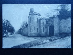 Somerset BANWELL The Castle / Castle Hill c1907 Postcard by G.S. & Co.