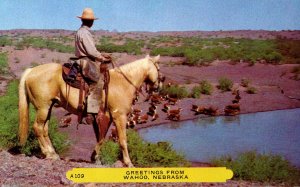 Nebraska Greetings From Wahoo With Horseback Rider and Cattle