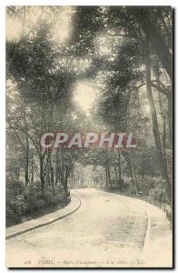 CARTE Postale Old Paris Buttes Chaumont A Allee