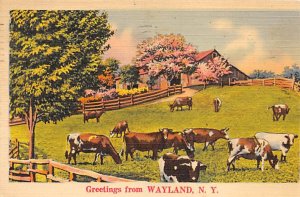 Greetings From Wayland NY