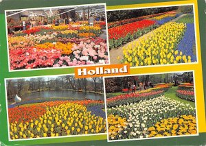 Flowerdecoration Holland 2000 