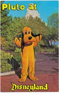 US unused card - Disneyland - Pluto, looking for his lifelong companions.