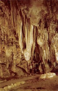 Queen's Chamber Carlsbad Caverns National Park, New Mexico NM