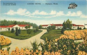 Olympia Washington Lodoro Motel Postcard roadside Teich linen 1940s 22-378