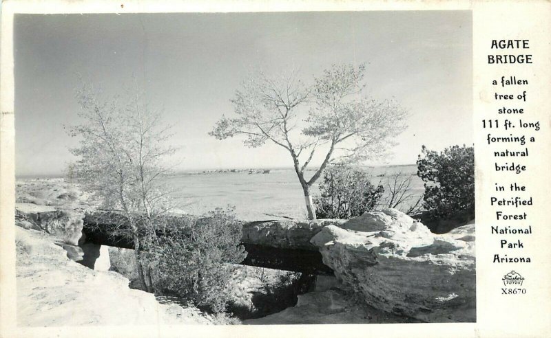 Frashers RPPC X8670; Petrified Forest AZ, Agate Bridge, A Fallen Tree of Stone