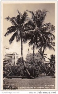 Coconut Palms In Bayfront Park Sarasota Florida 1938 Real Photo