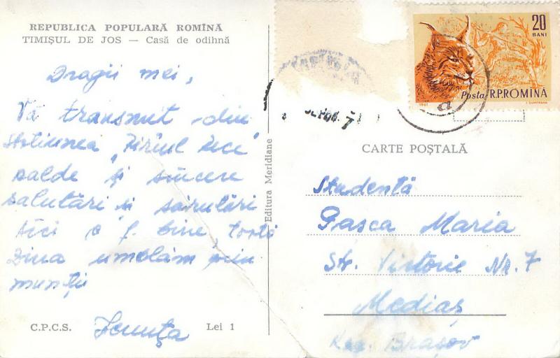 Romania Timisul de Jos lynx stamp animal topic franking