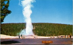 Vtg Old Faithful Geyser Yellowstone National Park Wyoming WY Postcard