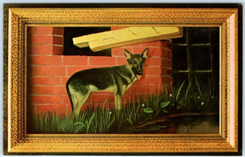 MORRIS KATZ Artist Signed  PORTRAIT OF DUKE  German Shepherd Dog 1966 Postcard