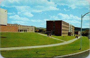 Vtg Cortland NY State University College of Education Dormitories 1950s Postcard