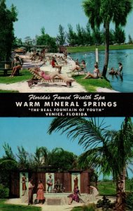 Warm Mineral Springs The real fountain of youth Venice, Florida   PC