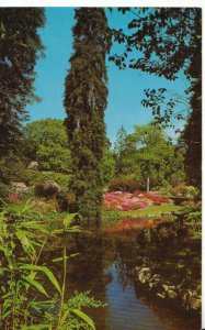 Hampshire Postcard - Middle Pond - Exbury Gardens - Southampton - Ref 15761A