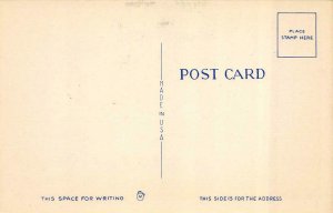 Military  BAYNONET PRACTICE  Soldiers In Trench Attack   c1940's Postcard