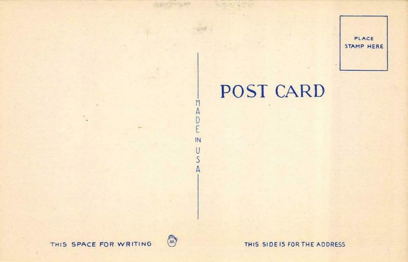 Military  BAYNONET PRACTICE  Soldiers In Trench Attack   c1940's Postcard