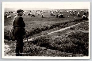 Ruinen Shepherd and his Flock of Sheep RPPC Netherlands Photo Postcard M34