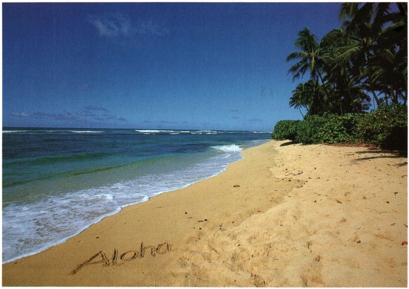 VINTAGE CONTINENTAL SIZE POSTCARD ALOHA BEACHFRONT HAWAII MAILED FROM HONOLULU