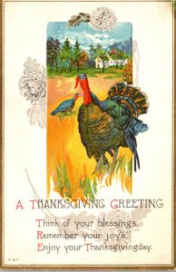 Thanksgiving Greetings With Turkey