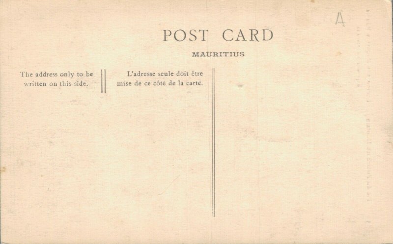 Mauritius Pieter Both Mountain Vintage Postcard 06.40 