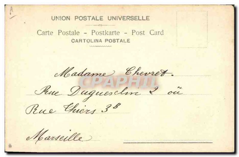 Old Postcard Dove Pigeon (TOILEE map)