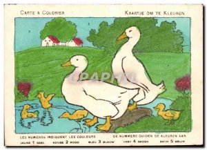 Old Postcard Map A Coloring Ducks