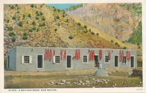 Mexican Adobe Home NM, New Mexico - WB - Fred Harvey AQ-211