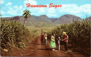 Postcard HI Sugar Fields