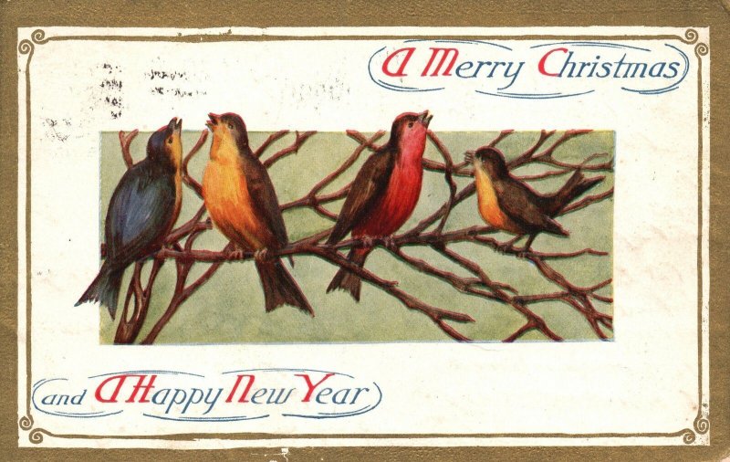 Vintage Postcard 1909 Merry Christmas and Happy New Year Birds Singing Greetings