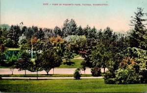 Washington Tacoma View In Wright's Park