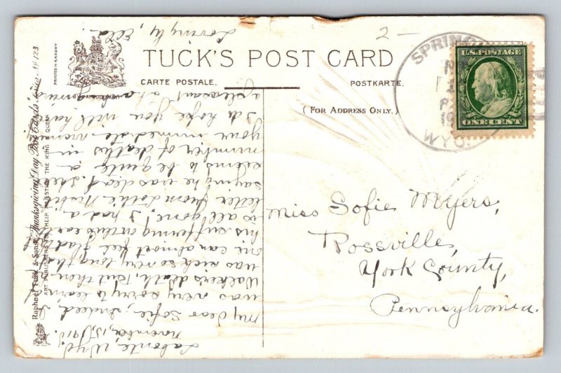 1910  Thanksgiving Day  Turkey  Postcard