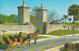 Florida St Augustine Horse and Carriage At Old City Gate
