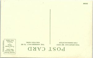 1910s ST. Louis Missouri City Hall  Postcard 14-4 