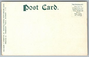 Postcard Lake Placid NY c1900s Adirondack Mountains Whiteface Inn Shoreline 