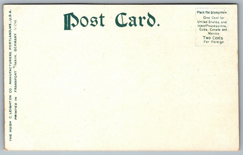 Postcard Lake Placid NY c1900s Adirondack Mountains Whiteface Inn Shoreline 