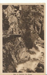 France Postcard - Gorges De La Diosaz - Servoz Pres Chamonix - Ref 18389A